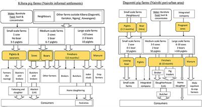 The Nairobi Pork Value Chain: Mapping and Assessment of Governance, Challenges, and Food Safety Issues